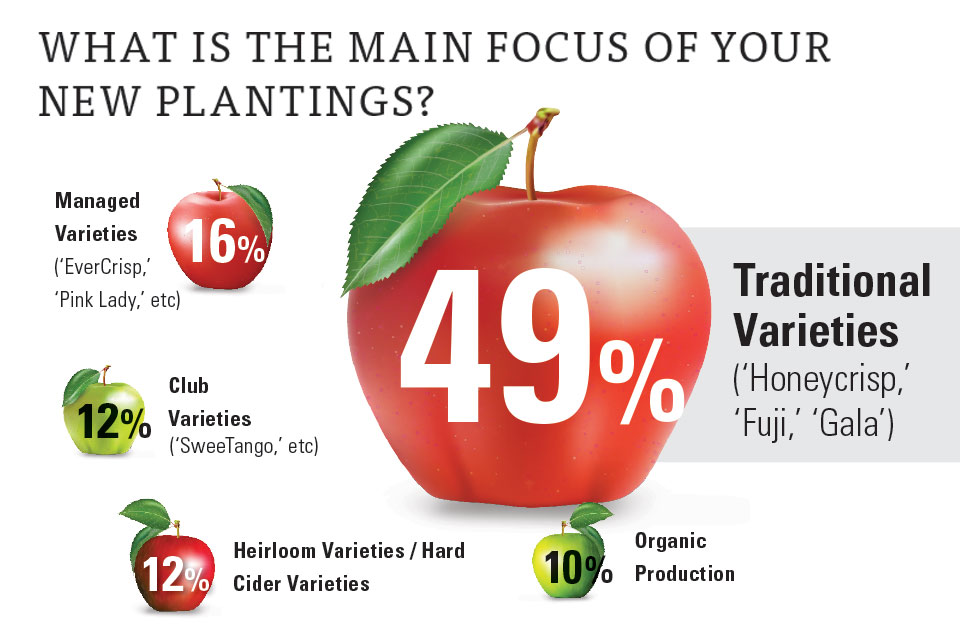 Growers to Continue Aggressive Apple Plantings This Year