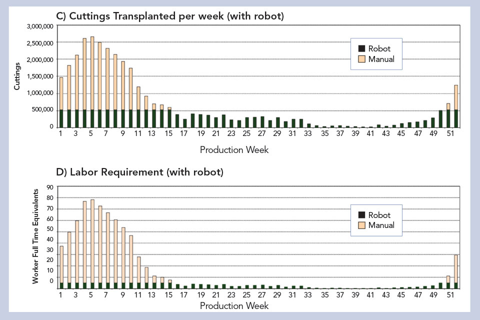 UF/IFAS transplanted cuttings study-Robot-Chart