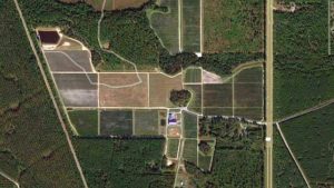 Google Earth shot of Florida Blue Farms