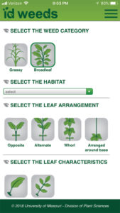 Smartphone Apps to Help You ID Weeds