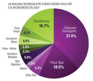 California Winegrape Supply Stabilizes