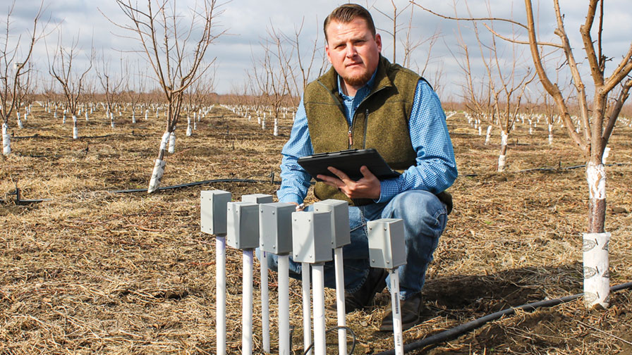 How Wireless Technology Found its Way to a Central California Farm