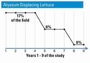 ARS-Brennan-insectary-study-percent-of-lettuce-displaced-by-alyssum