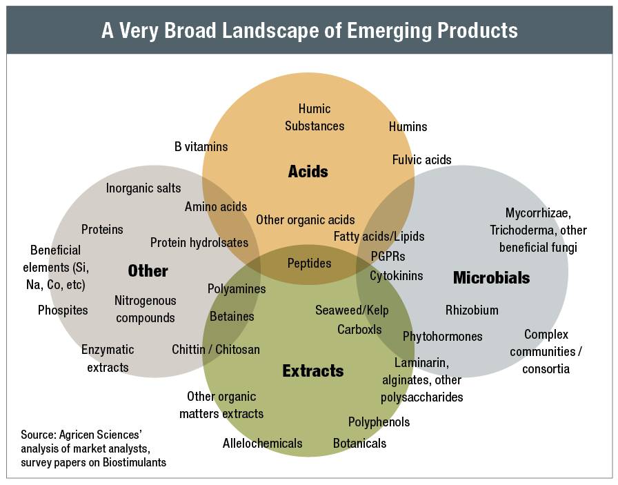 Chart of emerging products in the biostimulants sectors