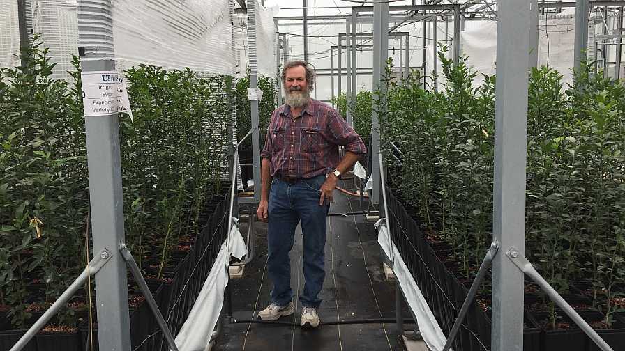 Dr. Richard Beeson standing in citrus greenhouse