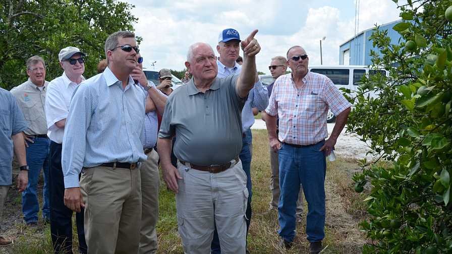 Florida citrus industry stakeholders lead Sec. of Ag Sonny Perdue on a grove tour