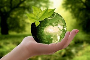 Sustainability-green-world-held-in-hand