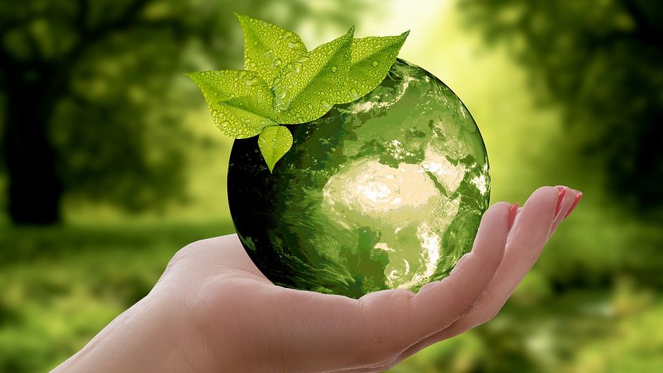 Sustainability-green-world-held-in-hand-FEAUTRE