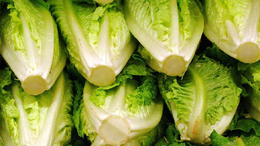 What Has the Ag Industry Learned from Foodborne Illness Outbreaks?