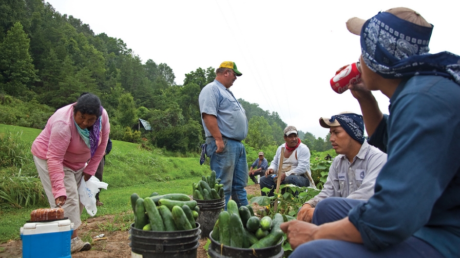 Farm-labor-supervisor-from-Flickr