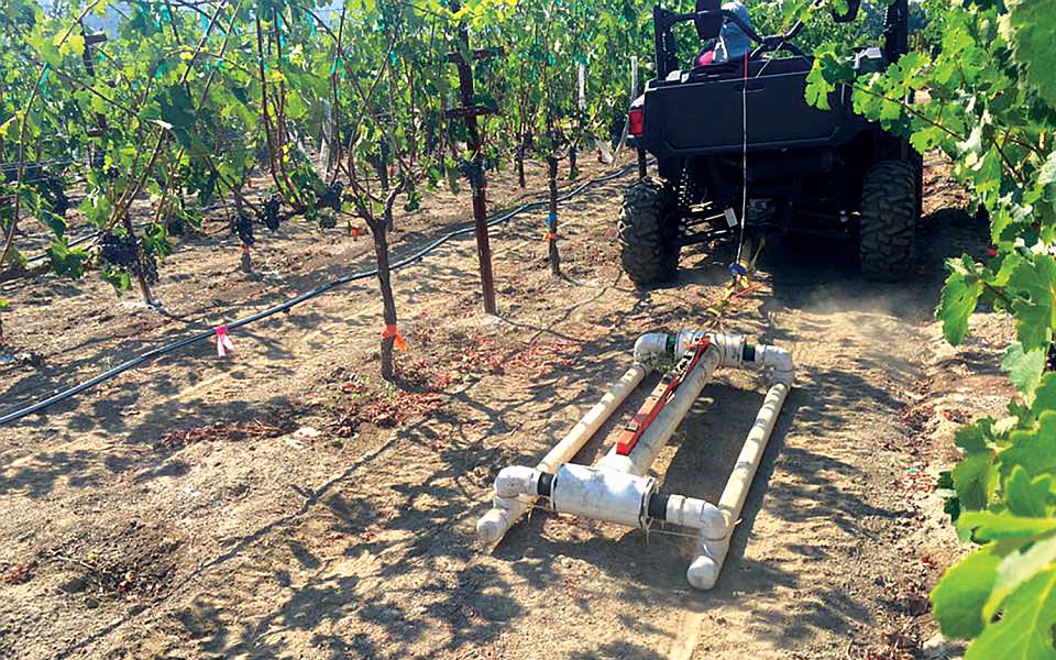 How to Make Vineyard Management More Precise