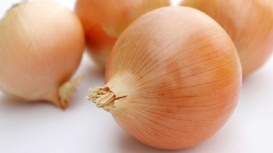 Sakata Sells Its Onion Breeding Program
