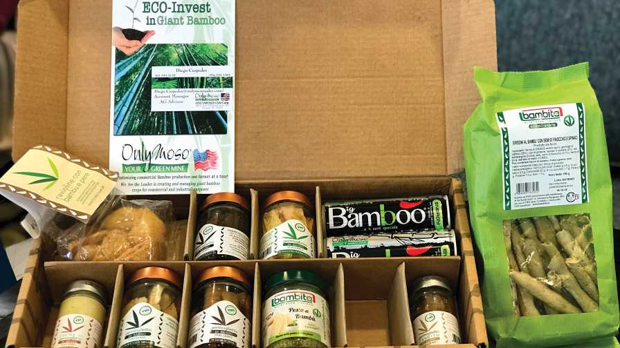 Bamboo-related products