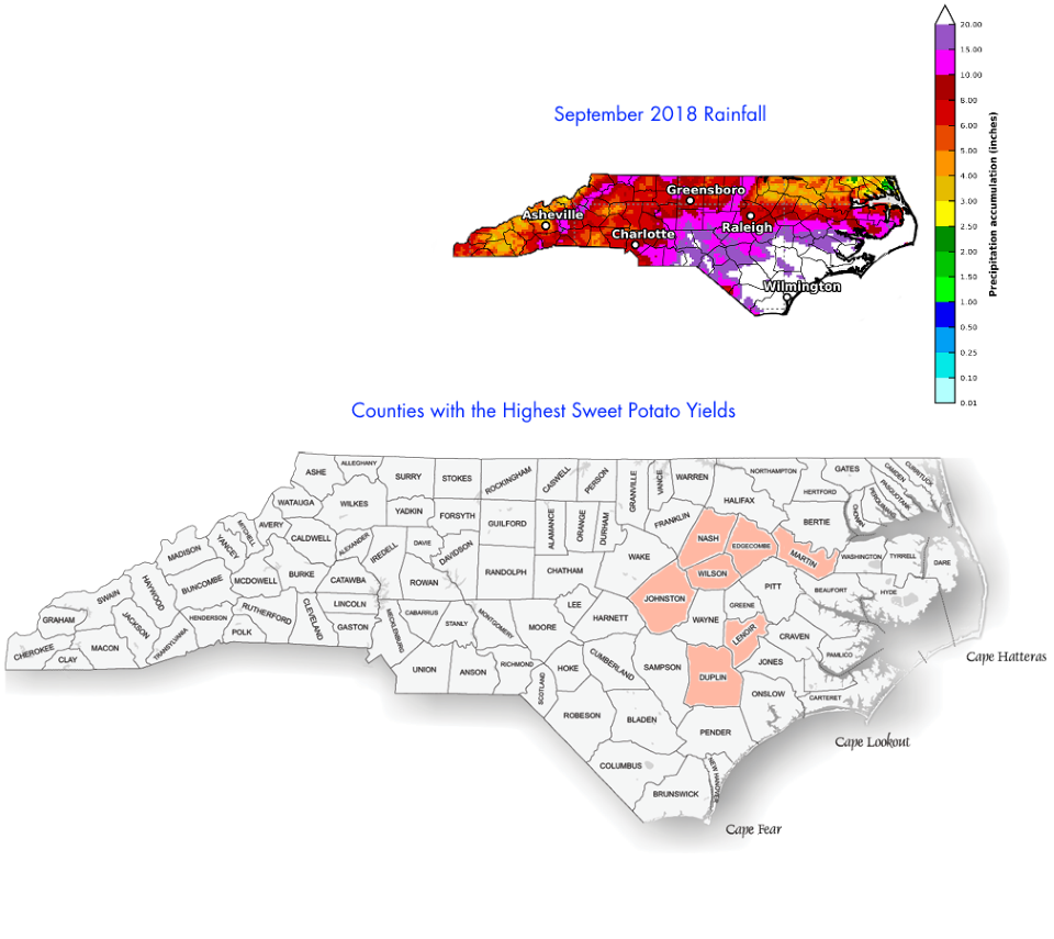 Comparing-Rainfall-and-Sweet-Potatoes-in-NC