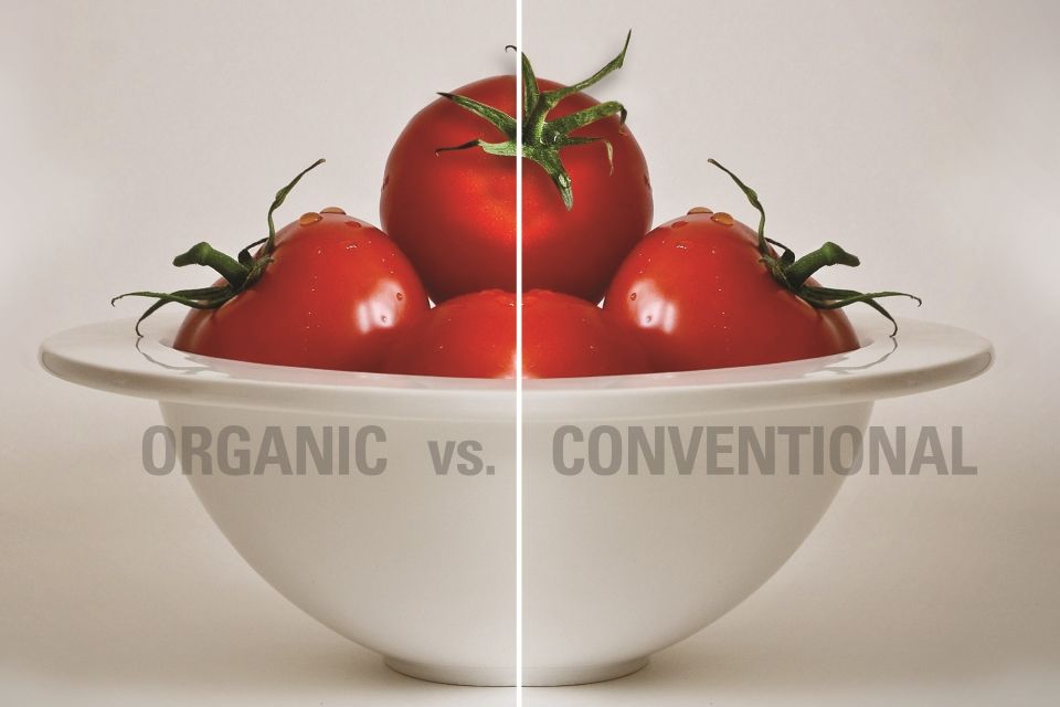 Organic-vs-conventional-prices