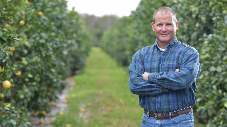 Brian Randolph of IMG Citrus standing in Florida orange grove