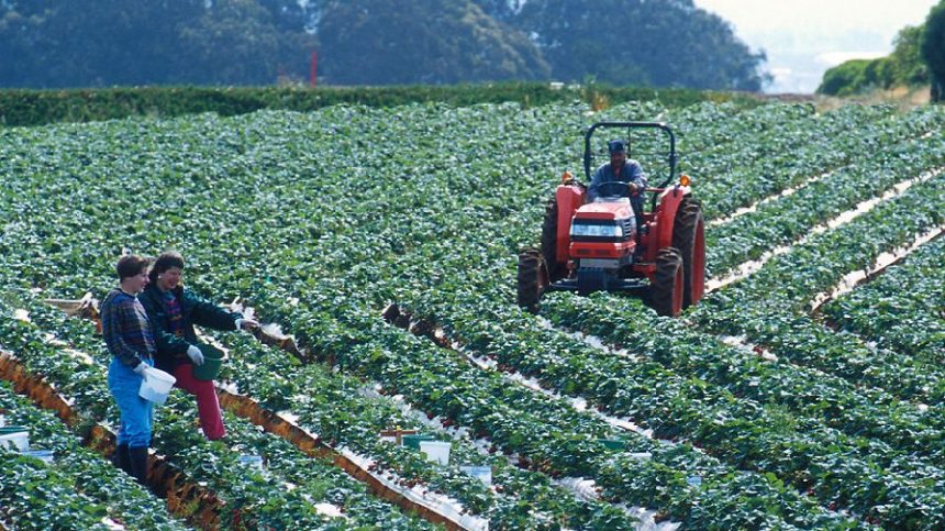 Women in Agriculture Still Face Barriers, New Study Shows