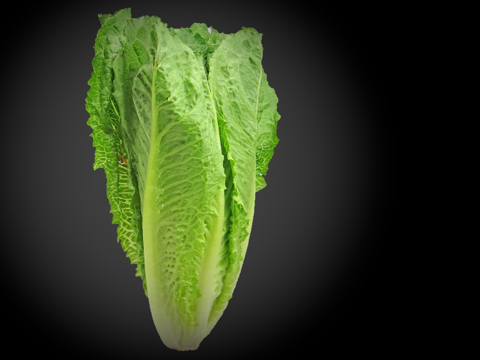 Romaine-free-image