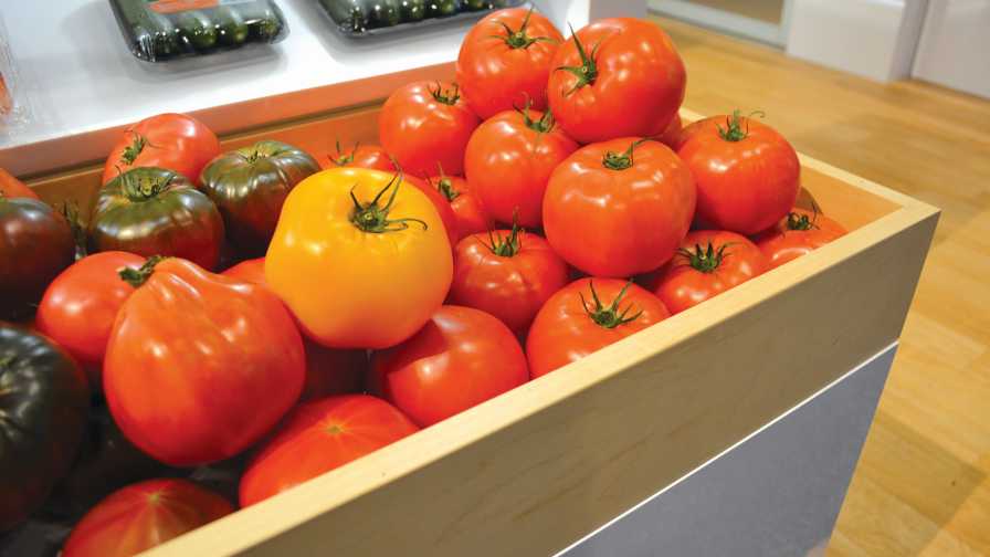 display of tomatoes at 2018 PMA Fresh Summit