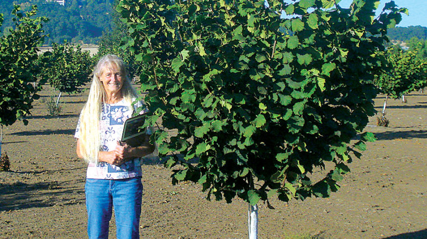 New Hazelnut Release Resists Eastern Filbert Blight
