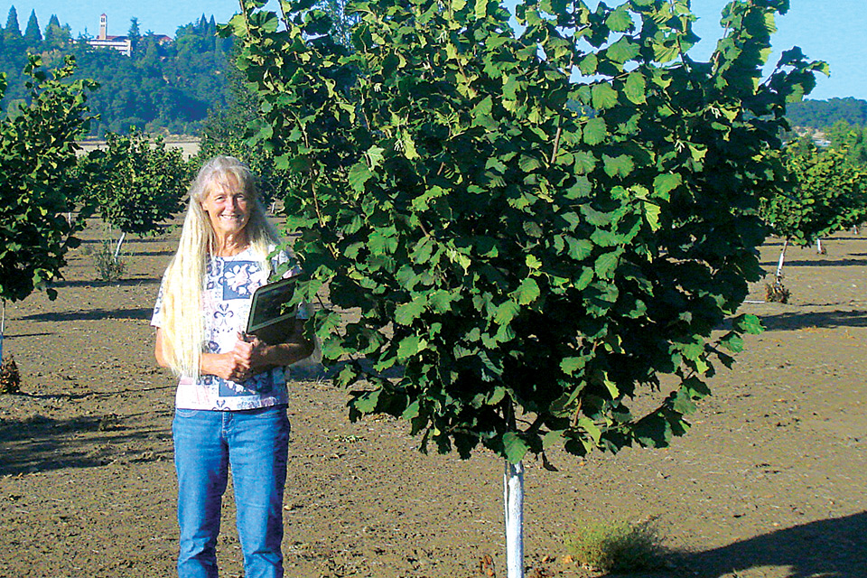 New Hazelnut Release Resists Eastern Filbert Blight