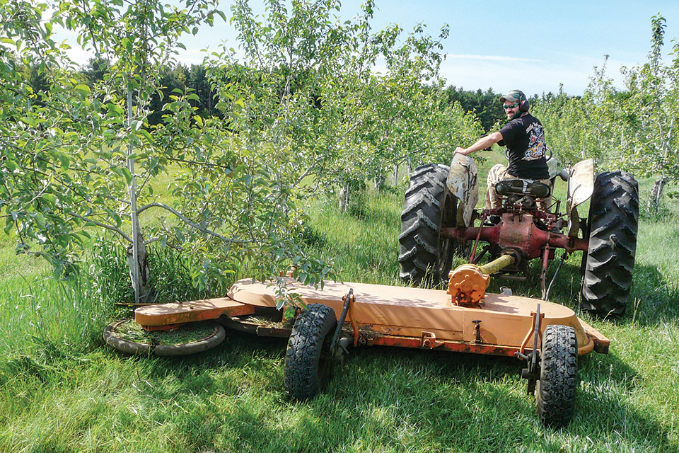 Best Practices for Non-Chemical Orchard Weed Management