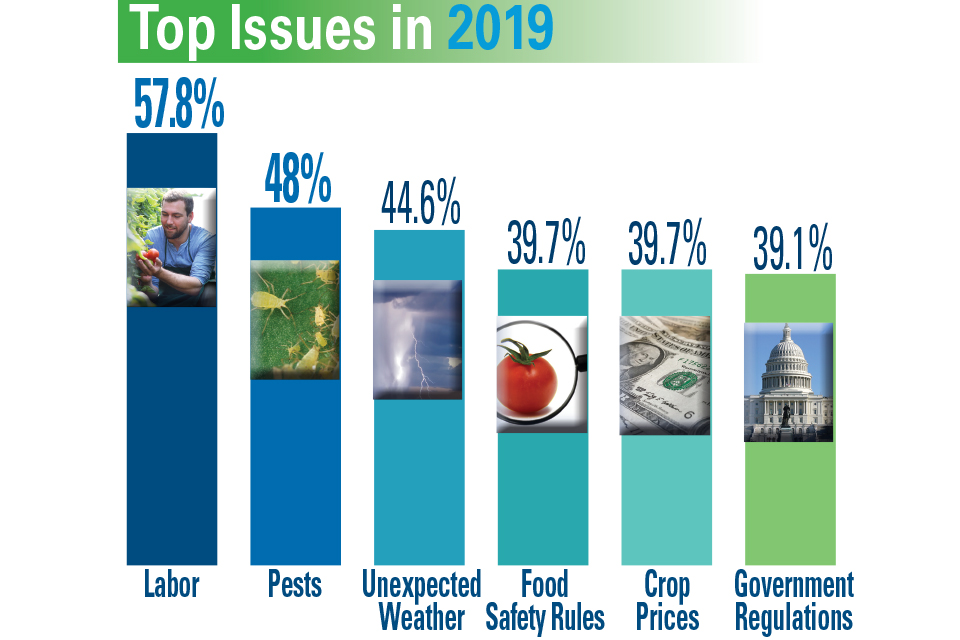 Top-Issues-in-2019_100