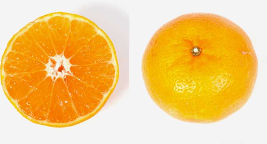 Closeup detail of Marathon mandarin orange