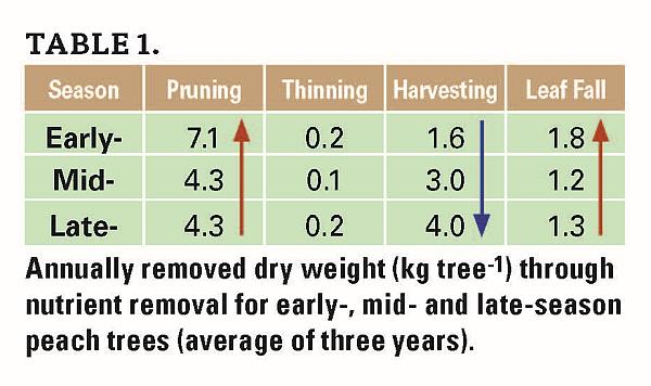 Do You Know How Good Your Peach Fertilization Program Is?