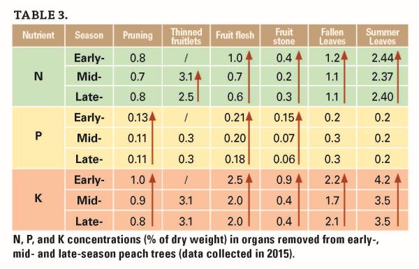 Do You Know How Good Your Peach Fertilization Program Is?