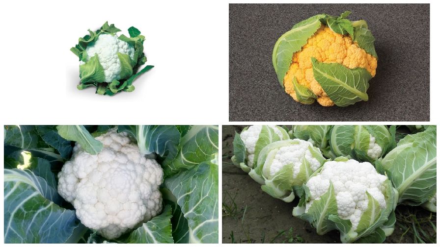 12 Cauliflower Varieties Perfect for 2019 Growing Produce
