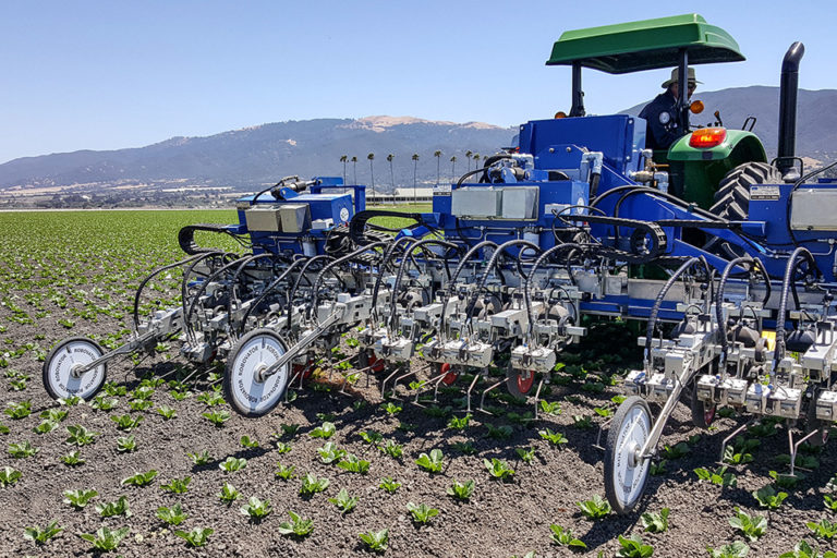 How Auto Weeders and Thinners Work [Photo Essay] Growing Produce