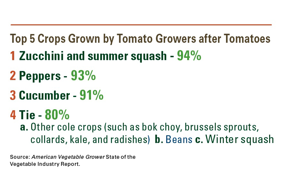 Top-5-Crops-Grown-After-Tomatoes