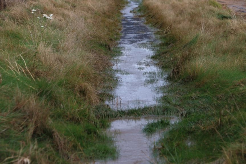 Filter Irrigation Runoff to Protect Water Quality Growing Produce
