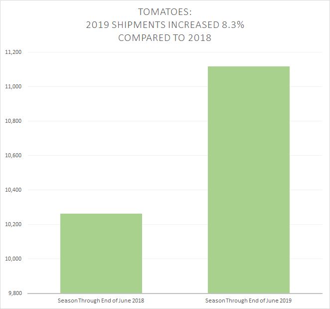 Tomato-shipments-2019-and-2018-compared