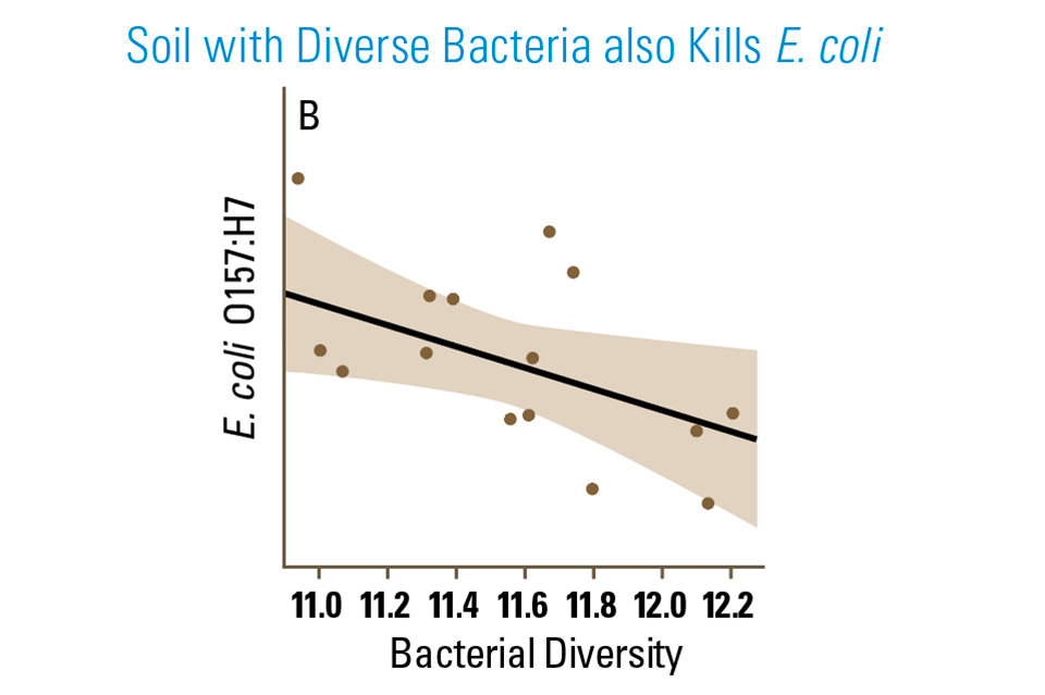 Soil-With-Diverse-Bacteria-chart
