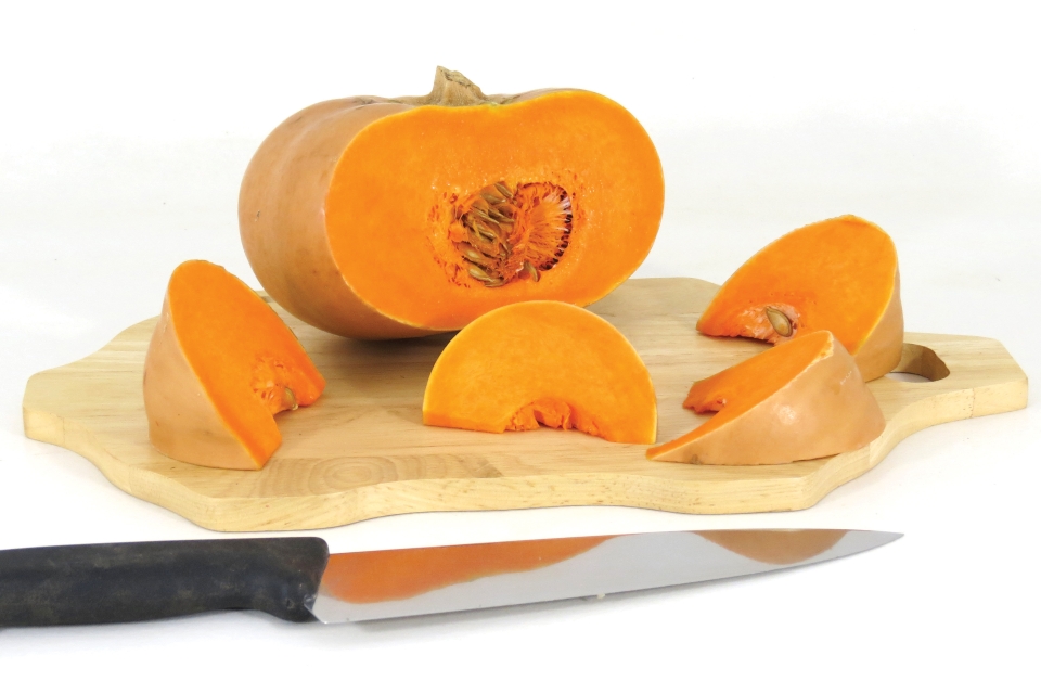 6 Squash Varieties to Fill Out Your Crop Mix