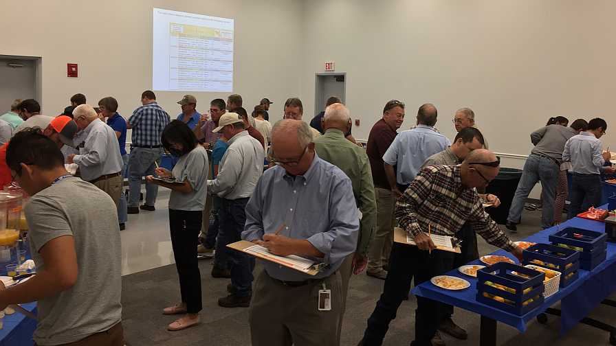 Participants at UF/IFAS citrus variety display event