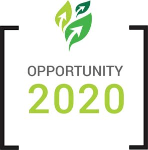 Opportunity 2020 lgo