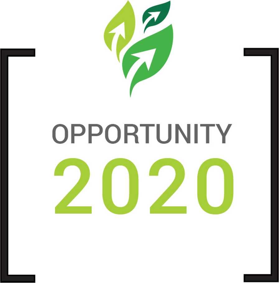 Opportunity 2020 lgo