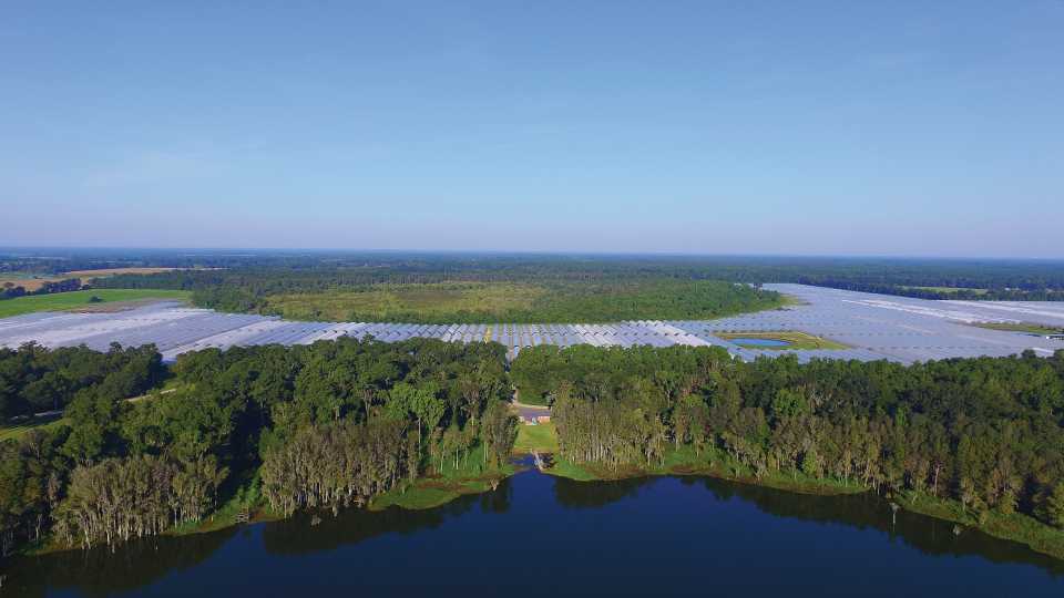 Drone view of giant high tunnel farm in North Florida