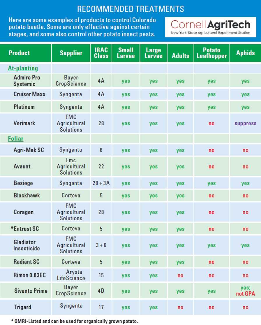 Chart of treatment recommendations for Colorado Potato Beetle