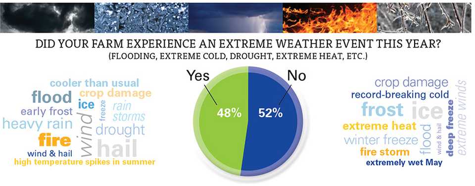 Fruit state of the industry 2020 Extreme Weather event graphic