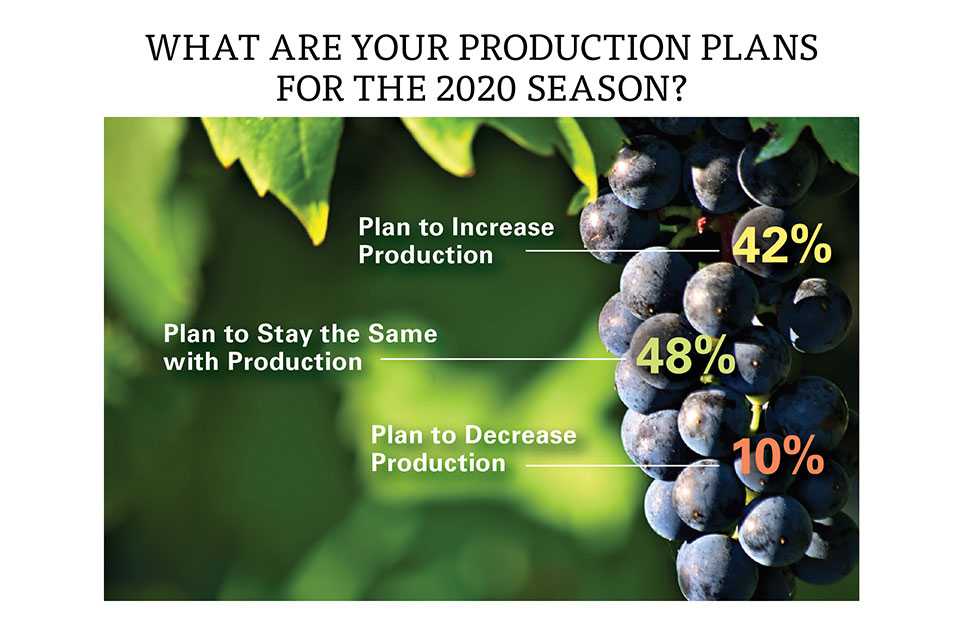Grapes State of the Industry 2020 production plans chart