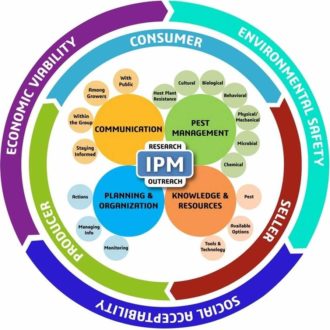 Ways to Apply the New IPM Model to Strawberry Production - Growing Produce