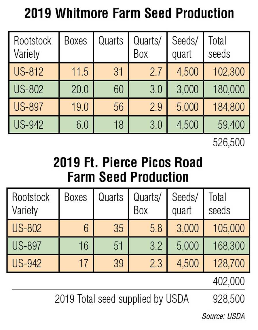 Florida citrus rootstock stats for 2019