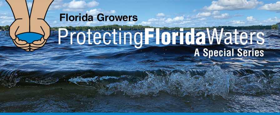 Protecting Florida Waters logo