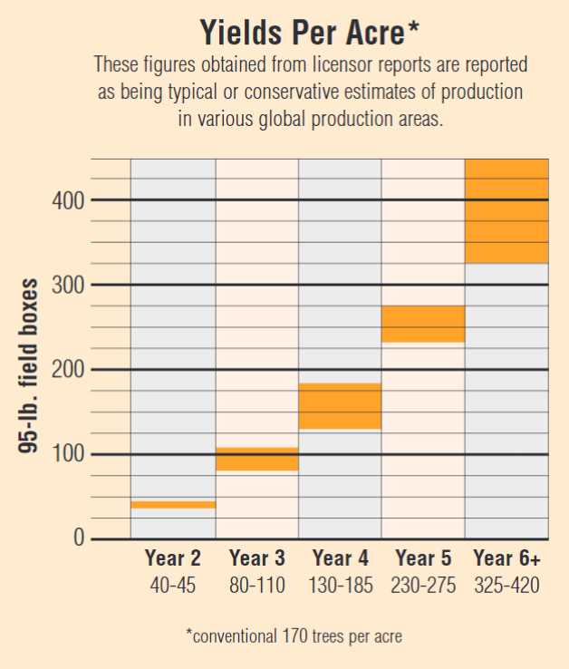 What’s up With the New ‘Orri’ Mandarin Orange? Highlands County