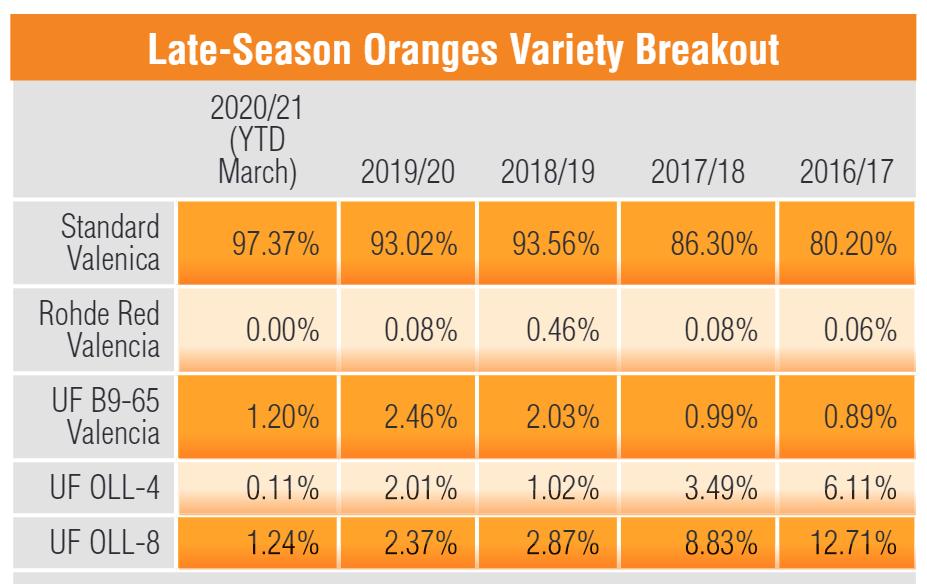 How Citrus Growers are Watching and Trialing New Orange Varieties