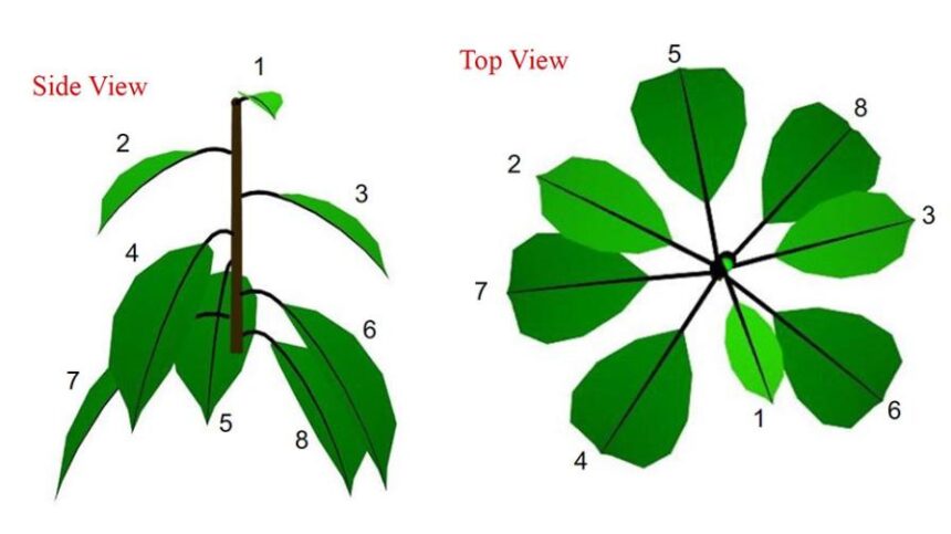 Harnessing Evolution as Cherry Production Systems Make Progress ...